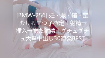 [BMW-256] 妊・娠・確・定 むしろ三つ子確定！射精→挿入→また射精！グチュグチュ大量中出し30連発BEST