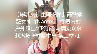 【爆乳女神重磅核弹】高铁紫薇女神『Naomii』性爱内射户外露出VIP订阅 与男友众多刺激场所性爱中出 第二季 (1)