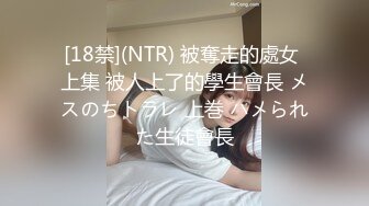 [18禁](NTR) 被奪走的處女 上集 被人上了的學生會長 メスのちトラレ 上巻 ハメられた生徒會長