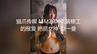 猫爪传媒 MMZ-060 装修工的报复 艳丽女神-赵一曼