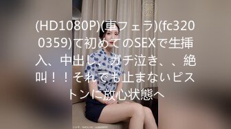 (HD1080P)(車フェラ)(fc3200359)て初めてのSEXで生挿入、中出し、ガチ泣き、、絶叫！！それでも止まないピストンに放心状態へ