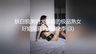 肤白貌美奶大臀圆的极品熟女好姐风骚艳舞第2季 (3)